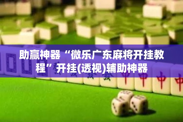 助赢神器“微乐广东麻将开挂教程”开挂(透视)辅助神器
