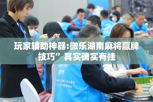 玩家辅助神器:微乐湖南麻将赢牌技巧	”其实确实有挂