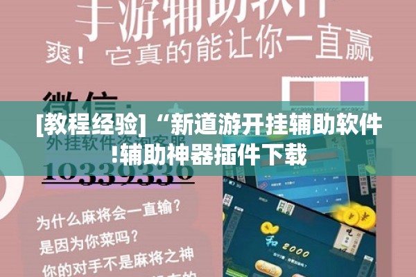 [教程经验]“新道游开挂辅助软件!辅助神器插件下载