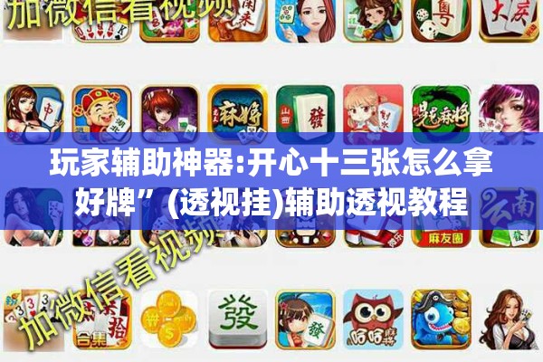 玩家辅助神器:开心十三张怎么拿好牌”(透视挂)辅助透视教程