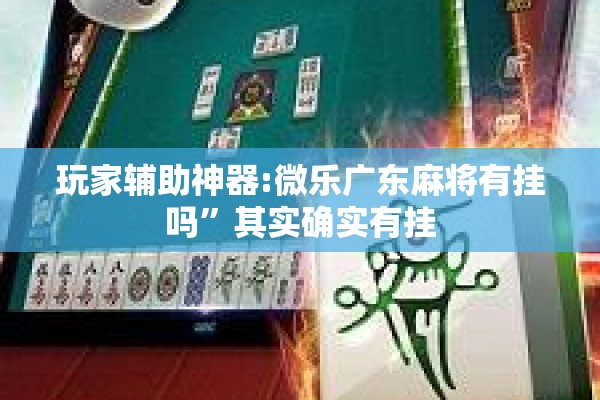 玩家辅助神器:微乐广东麻将有挂吗”其实确实有挂
