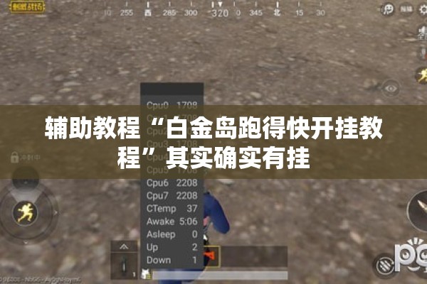 辅助教程“白金岛跑得快开挂教程”其实确实有挂