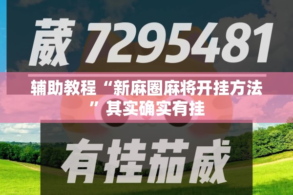 辅助教程“新麻圈麻将开挂方法”其实确实有挂
