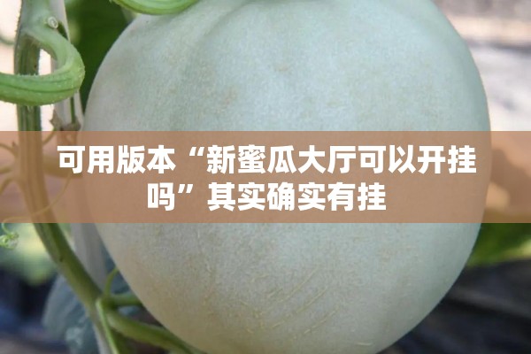 可用版本“新蜜瓜大厅可以开挂吗”其实确实有挂