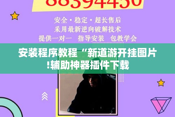 安装程序教程“新道游开挂图片!辅助神器插件下载