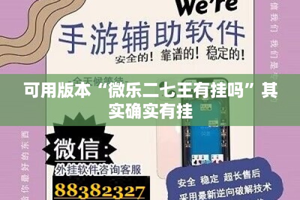 可用版本“微乐二七王有挂吗	”其实确实有挂
