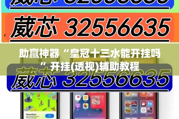 助赢神器“皇冠十三水能开挂吗”开挂(透视)辅助教程