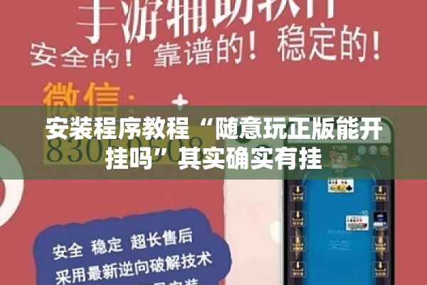 安装程序教程“随意玩正版能开挂吗”其实确实有挂