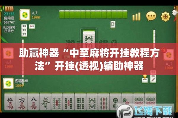 助赢神器“中至麻将开挂教程方法	”开挂(透视)辅助神器