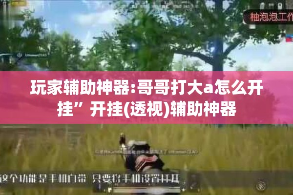 玩家辅助神器:哥哥打大a怎么开挂”开挂(透视)辅助神器