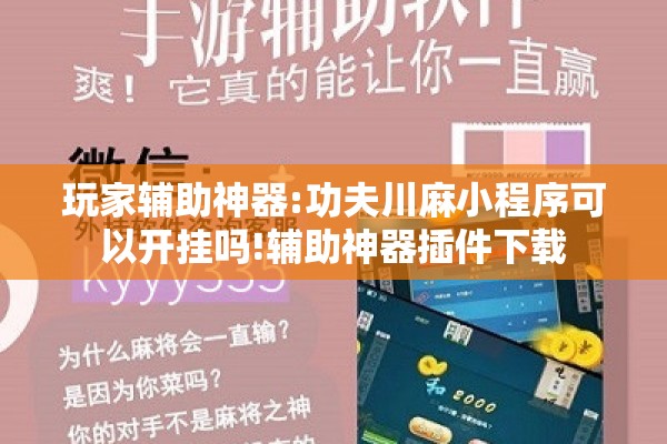 玩家辅助神器:功夫川麻小程序可以开挂吗!辅助神器插件下载