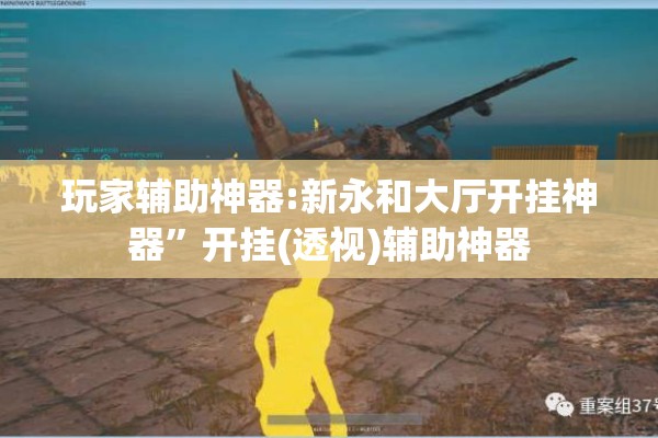 玩家辅助神器:新永和大厅开挂神器”开挂(透视)辅助神器