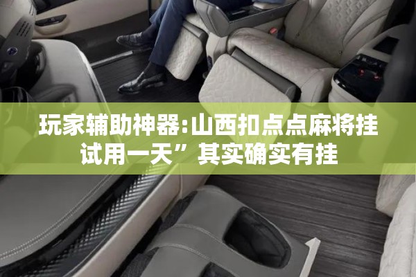 玩家辅助神器:山西扣点点麻将挂试用一天”其实确实有挂