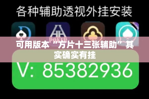可用版本“方片十三张辅助”其实确实有挂
