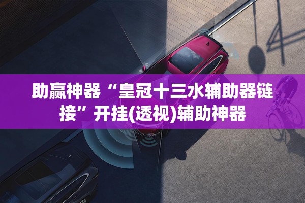 助赢神器“皇冠十三水辅助器链接”开挂(透视)辅助神器