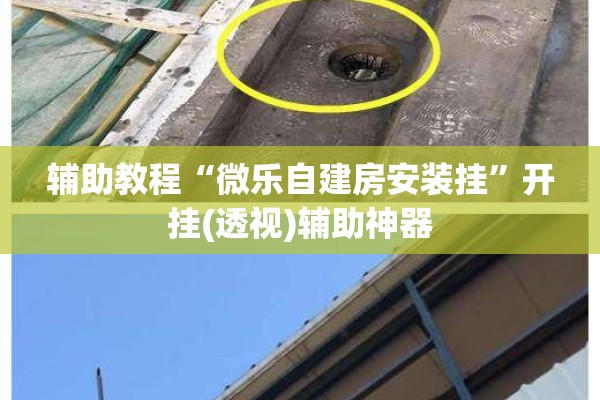 辅助教程“微乐自建房安装挂	”开挂(透视)辅助神器