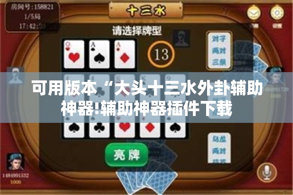 可用版本“大头十三水外卦辅助神器!辅助神器插件下载