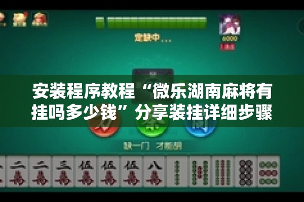 安装程序教程“微乐湖南麻将有挂吗多少钱”分享装挂详细步骤