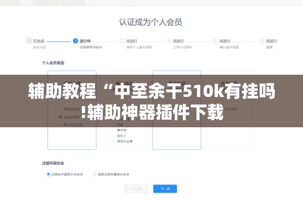 辅助教程“中至余干510k有挂吗!辅助神器插件下载