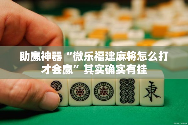 助赢神器“微乐福建麻将怎么打才会赢	”其实确实有挂