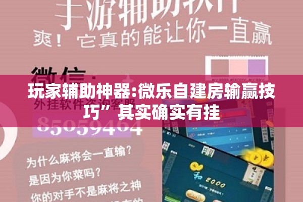 玩家辅助神器:微乐自建房输赢技巧	”其实确实有挂