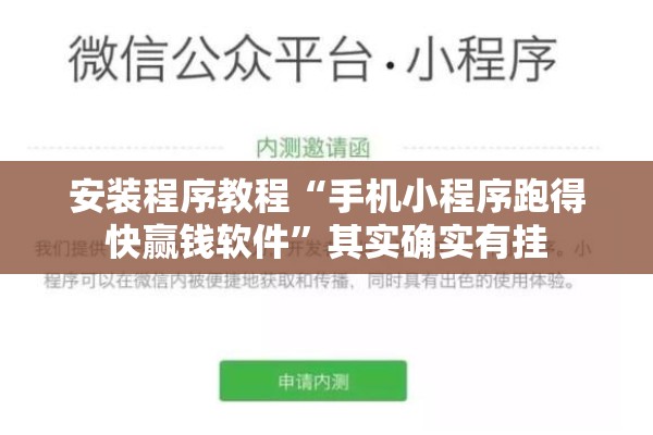 安装程序教程“手机小程序跑得快赢钱软件”其实确实有挂