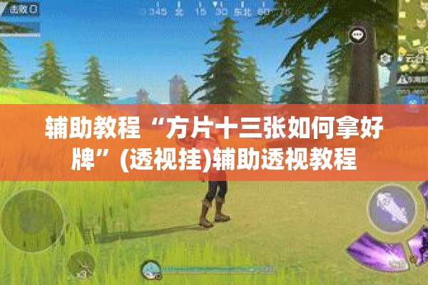 辅助教程“方片十三张如何拿好牌”(透视挂)辅助透视教程