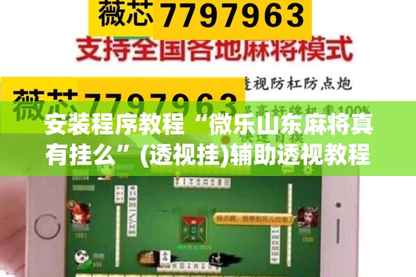 安装程序教程“微乐山东麻将真有挂么”(透视挂)辅助透视教程
