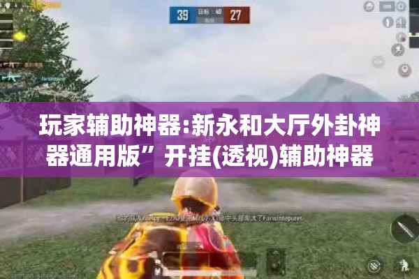 玩家辅助神器:新永和大厅外卦神器通用版”开挂(透视)辅助神器