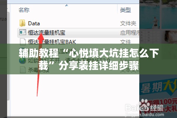 辅助教程“心悦填大坑挂怎么下载	”分享装挂详细步骤