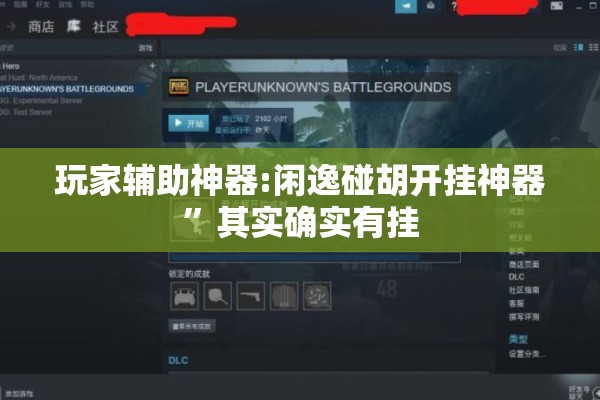 玩家辅助神器:闲逸碰胡开挂神器	”其实确实有挂