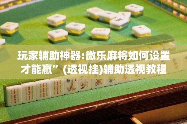 玩家辅助神器:微乐麻将如何设置才能赢	”(透视挂)辅助透视教程