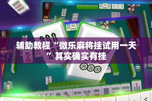辅助教程“微乐麻将挂试用一天”其实确实有挂
