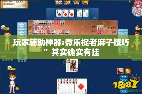 玩家辅助神器:微乐捉老麻子技巧”其实确实有挂