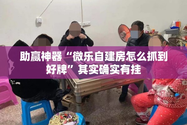 助赢神器“微乐自建房怎么抓到好牌”其实确实有挂