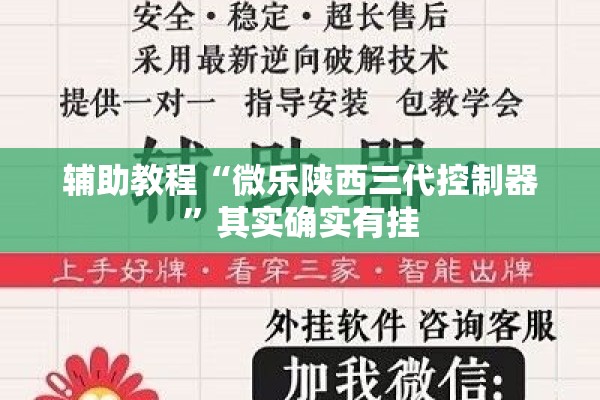 辅助教程“微乐陕西三代控制器”其实确实有挂