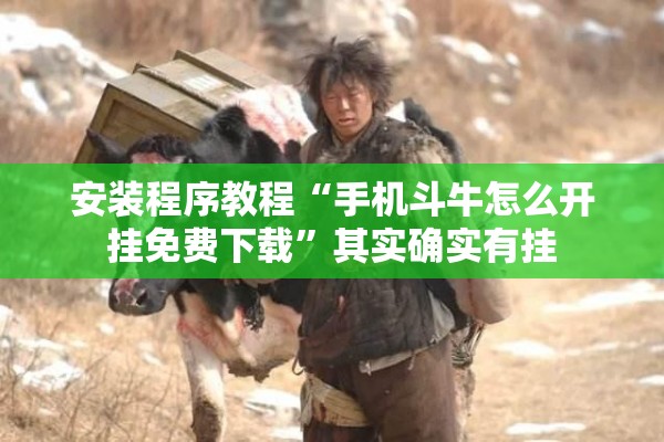 安装程序教程“手机斗牛怎么开挂免费下载”其实确实有挂