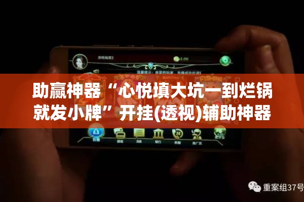 助赢神器“心悦填大坑一到烂锅就发小牌”开挂(透视)辅助神器