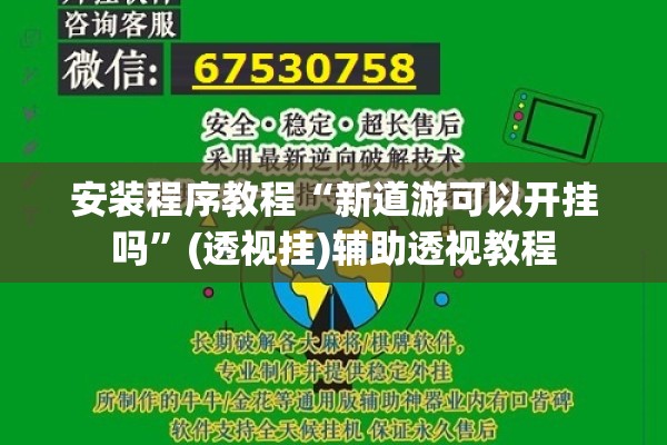 安装程序教程“新道游可以开挂吗	”(透视挂)辅助透视教程