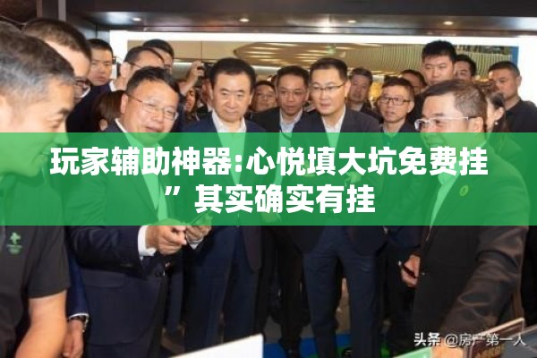 玩家辅助神器:心悦填大坑免费挂	”其实确实有挂