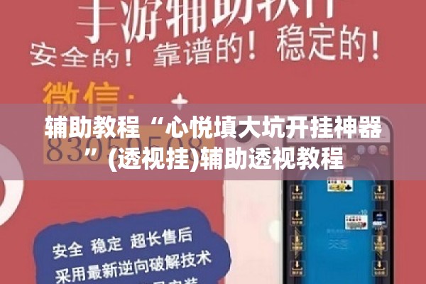 辅助教程“心悦填大坑开挂神器	”(透视挂)辅助透视教程