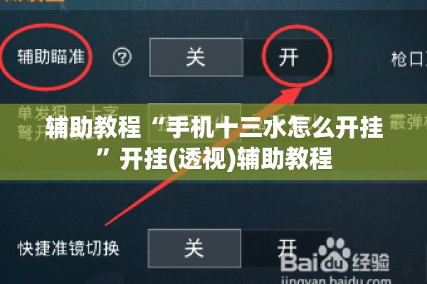 辅助教程“手机十三水怎么开挂”开挂(透视)辅助教程