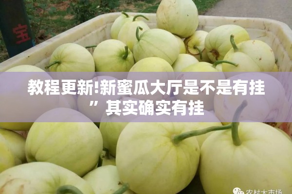 教程更新!新蜜瓜大厅是不是有挂”其实确实有挂