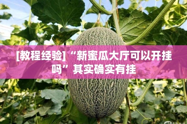[教程经验]“新蜜瓜大厅可以开挂吗”其实确实有挂