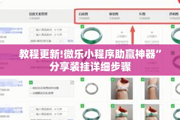 教程更新!微乐小程序助赢神器	”分享装挂详细步骤