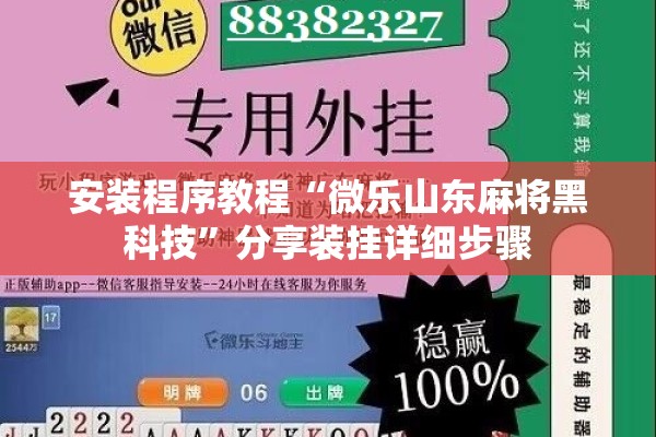 安装程序教程“微乐山东麻将黑科技”分享装挂详细步骤