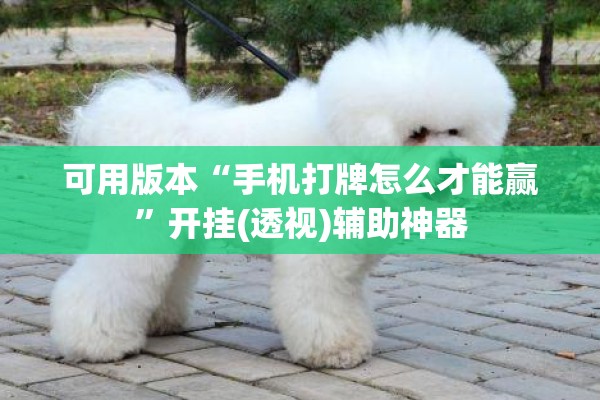 可用版本“手机打牌怎么才能赢”开挂(透视)辅助神器