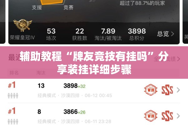 辅助教程“牌友竞技有挂吗	”分享装挂详细步骤