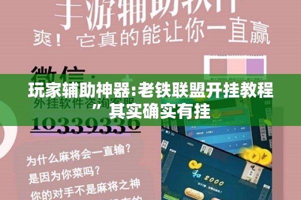 玩家辅助神器:老铁联盟开挂教程	”其实确实有挂