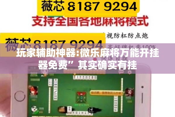 玩家辅助神器:微乐麻将万能开挂器免费”其实确实有挂